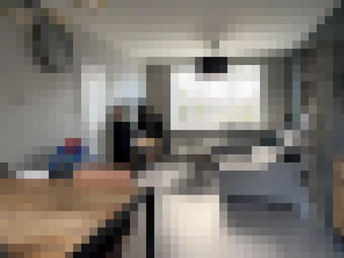 Bernhardlaan 83 Den Burg thumbnail 7