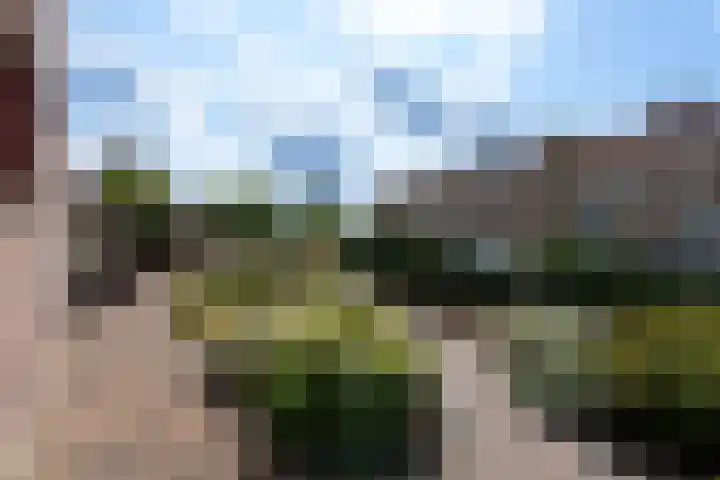 Bernhardlaan 83 Wolvega thumbnail 38