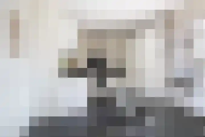 Bernhardlaan 88 Buitenpost thumbnail 19