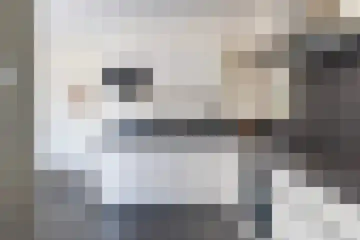 Bernhardlaan 88 Buitenpost thumbnail 22