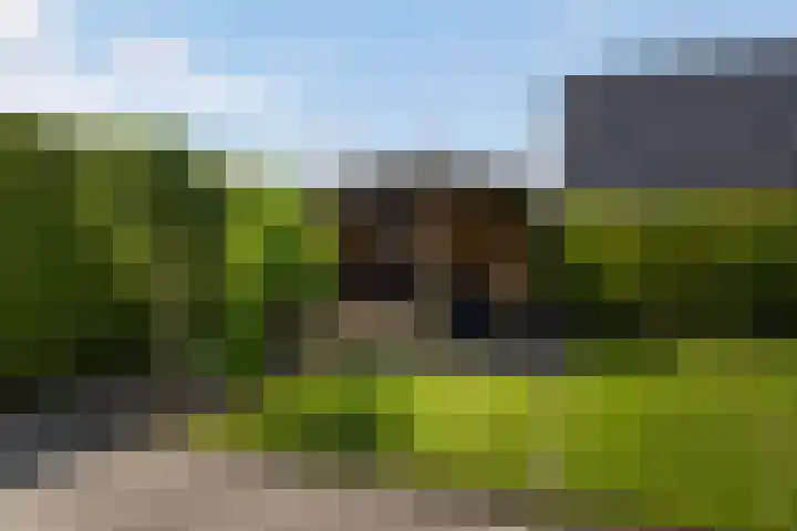 Bernhardlaan 88 Buitenpost thumbnail 28