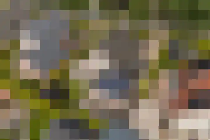 Bernhardlaan 88 Buitenpost foto 3