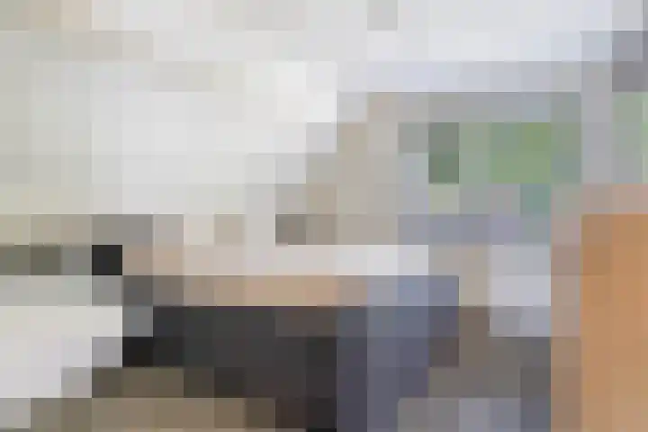 Bernhardlaan 88 Buitenpost thumbnail 32