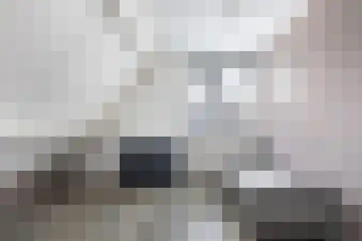 Bernhardlaan 88 Buitenpost thumbnail 39