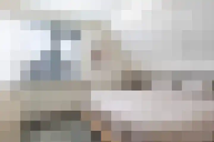Bernhardlaan 88 Buitenpost thumbnail 42
