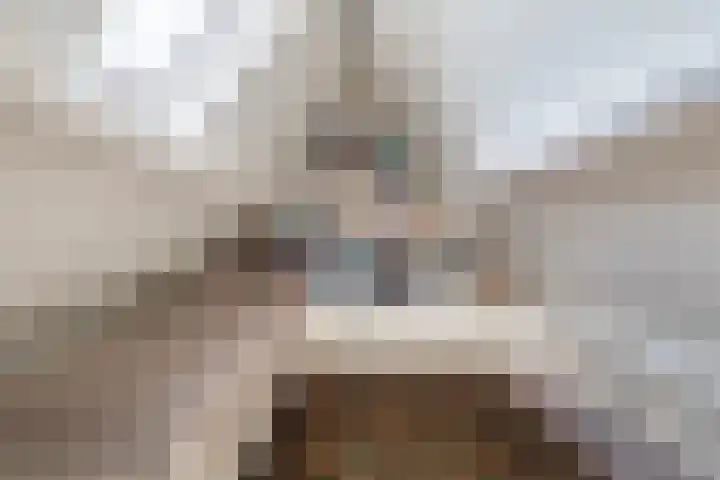 Bernhardlaan 88 Buitenpost thumbnail 46