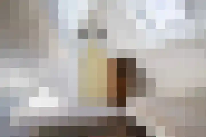 Bernhardlaan 88 Buitenpost thumbnail 47