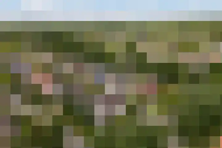Bernhardlaan 88 Buitenpost thumbnail 5