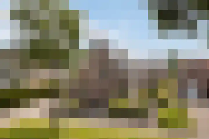 Bernhardlaan 88 Buitenpost thumbnail 7