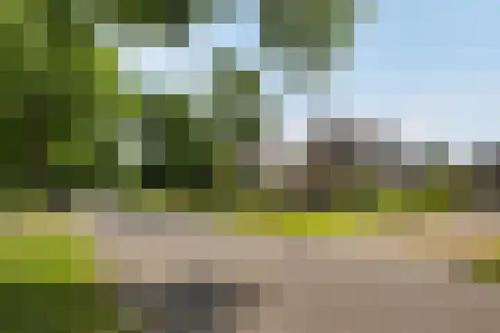 Bernhardlaan 88 Buitenpost thumbnail 8
