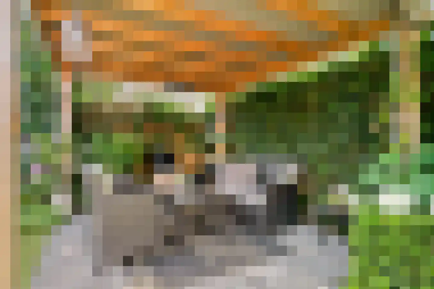Bernhardlaan 95 Oss thumbnail 23