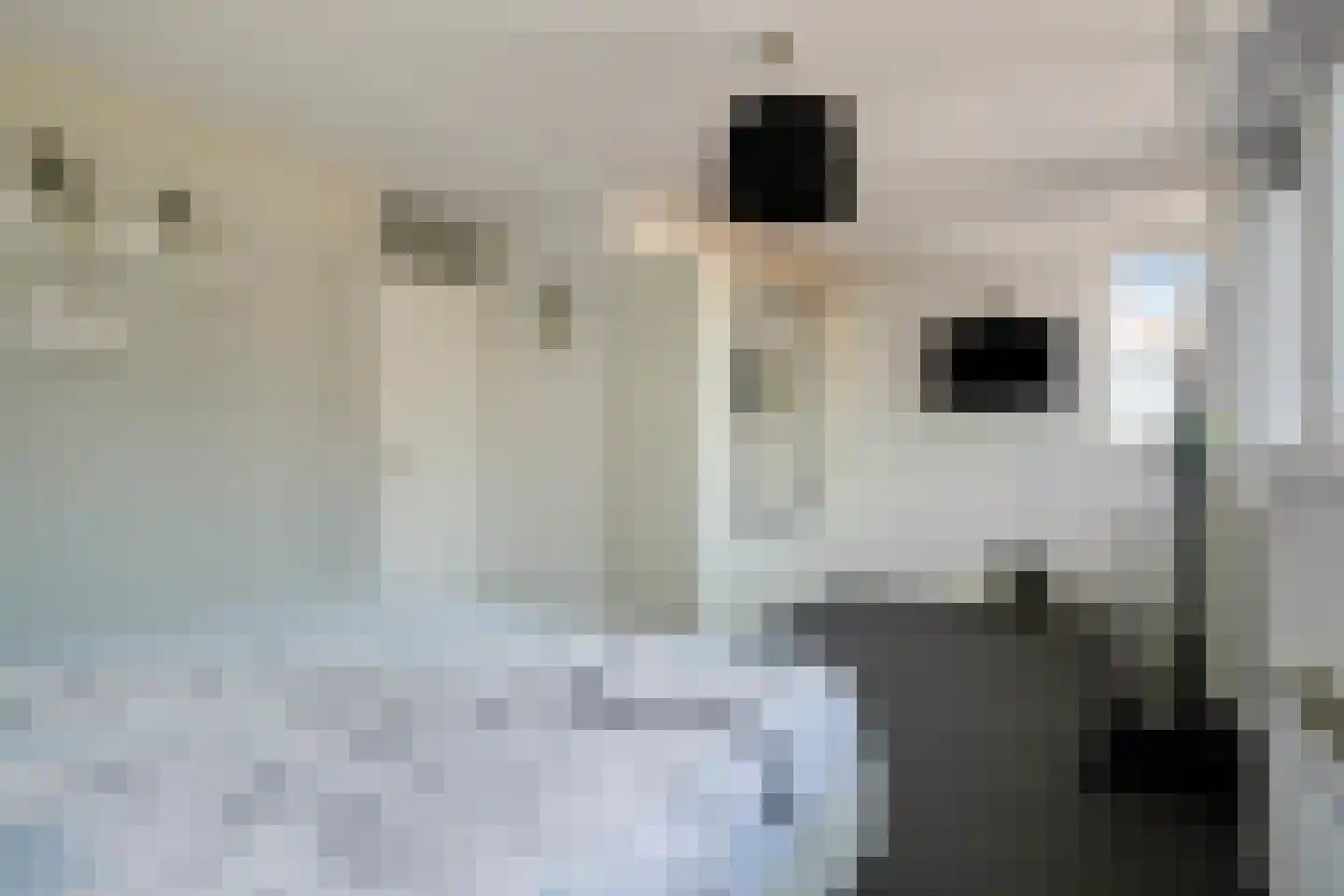Bernhardlaan 95 Oss thumbnail 25