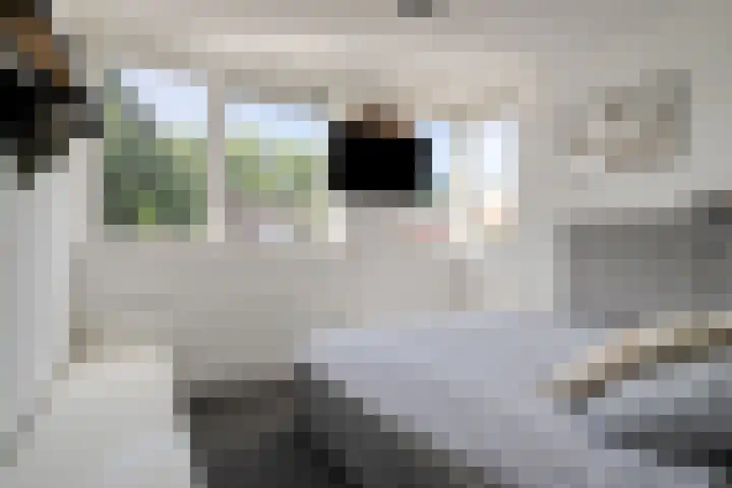 Bernhardlaan 95 Oss thumbnail 29