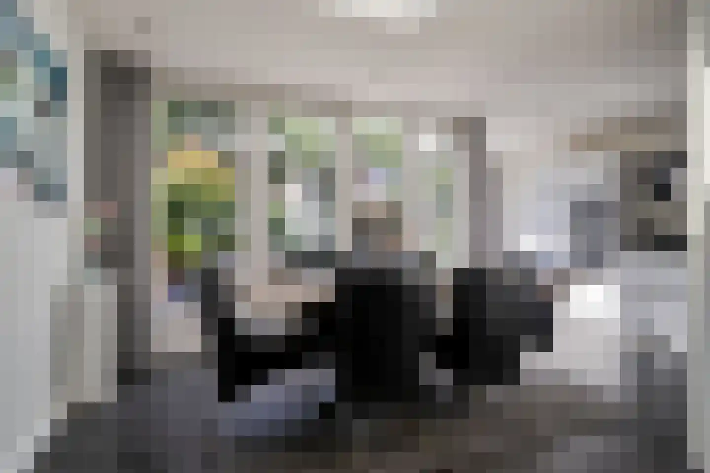 Bernhardlaan 95 Oss thumbnail 6