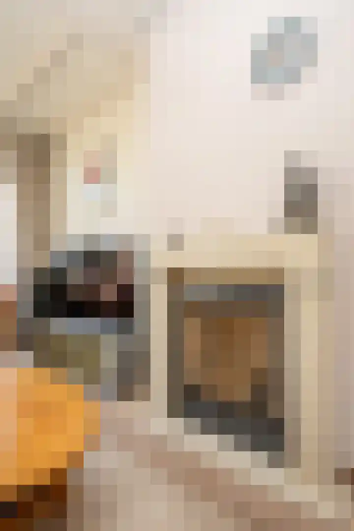 Bernhardlaan 98 Den Burg thumbnail 11