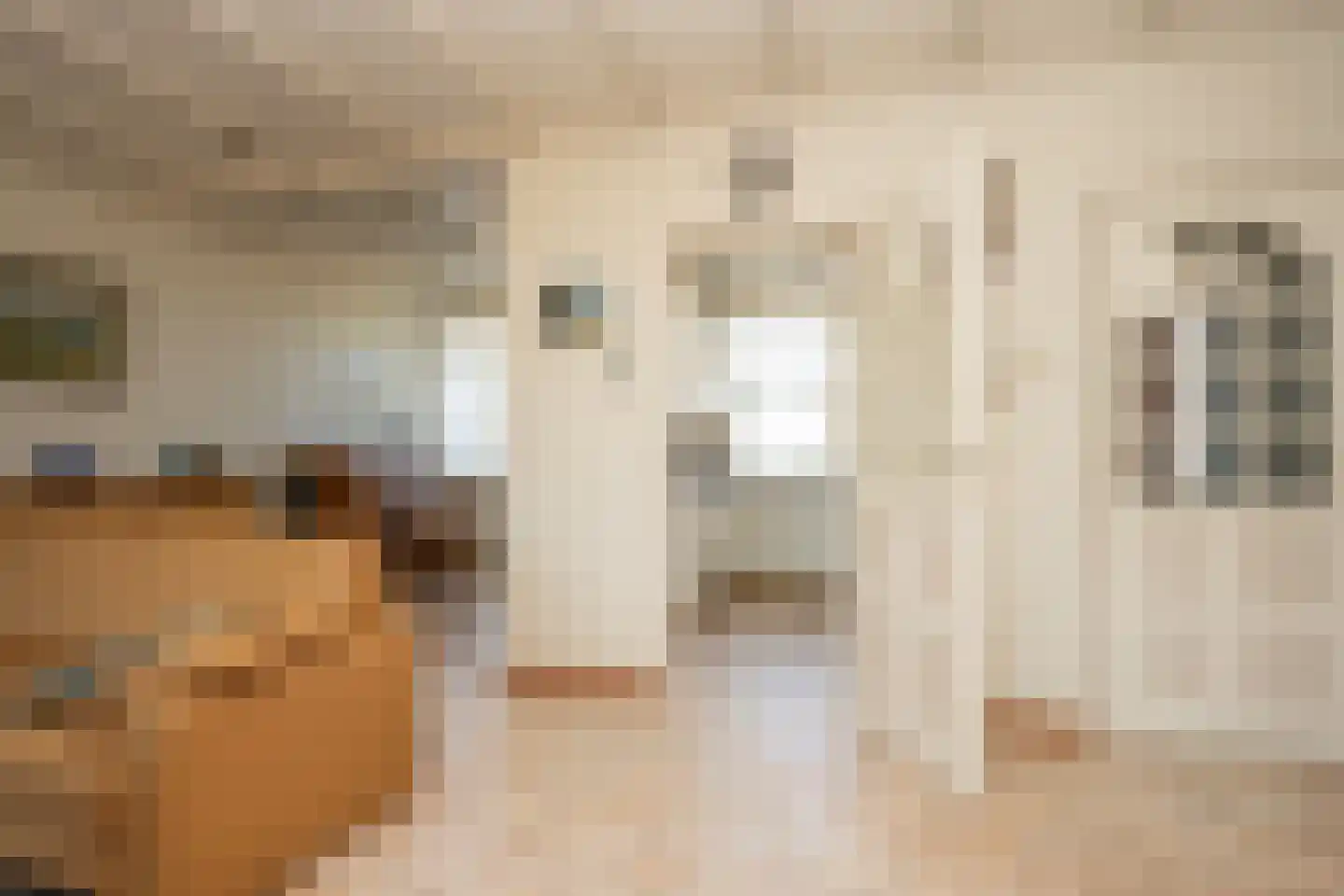 Bernhardlaan 98 Den Burg thumbnail 13