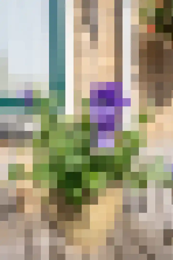 Bernhardlaan 98 Den Burg thumbnail 19