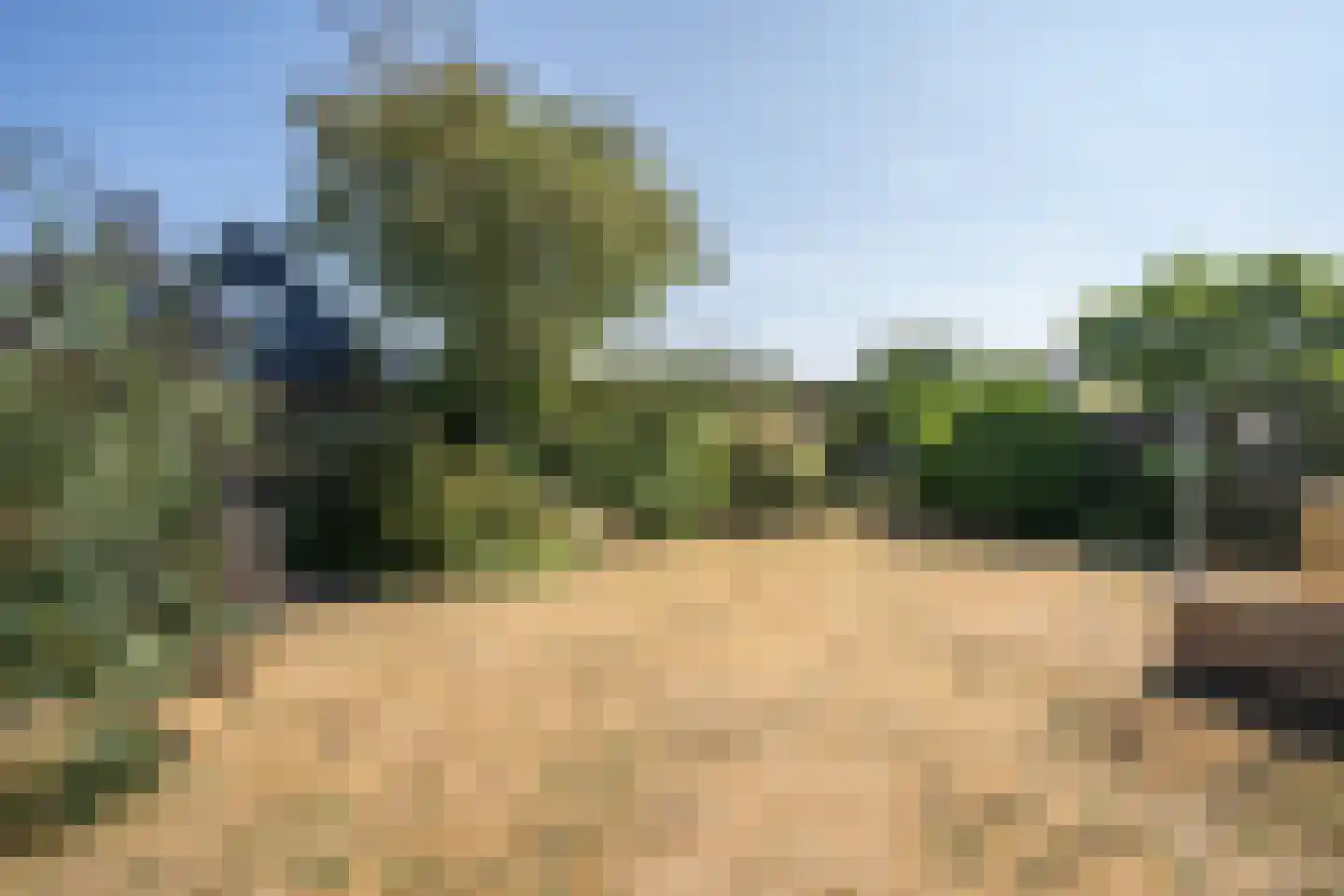 Bernhardlaan 98 Den Burg thumbnail 21