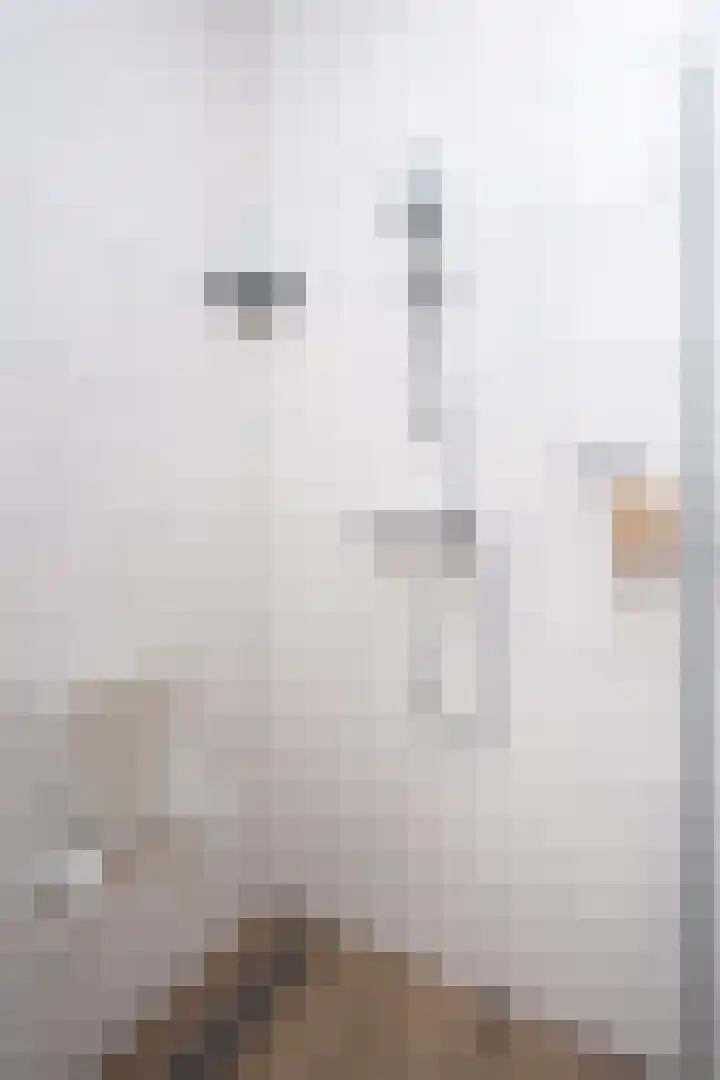 Bernhardlaan 98 Den Burg thumbnail 31