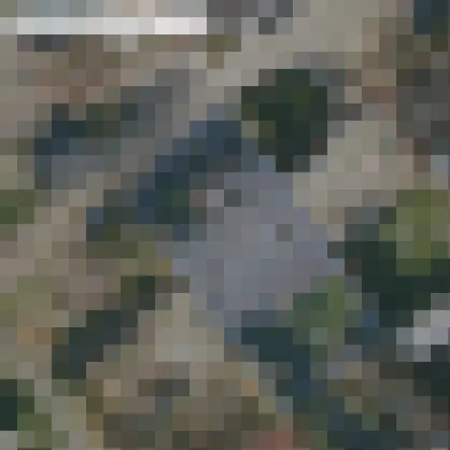 Bernhardlaan 98 Den Burg thumbnail 50