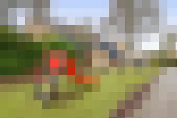 Bernhardplaats 16 Hellevoetsluis thumbnail 34