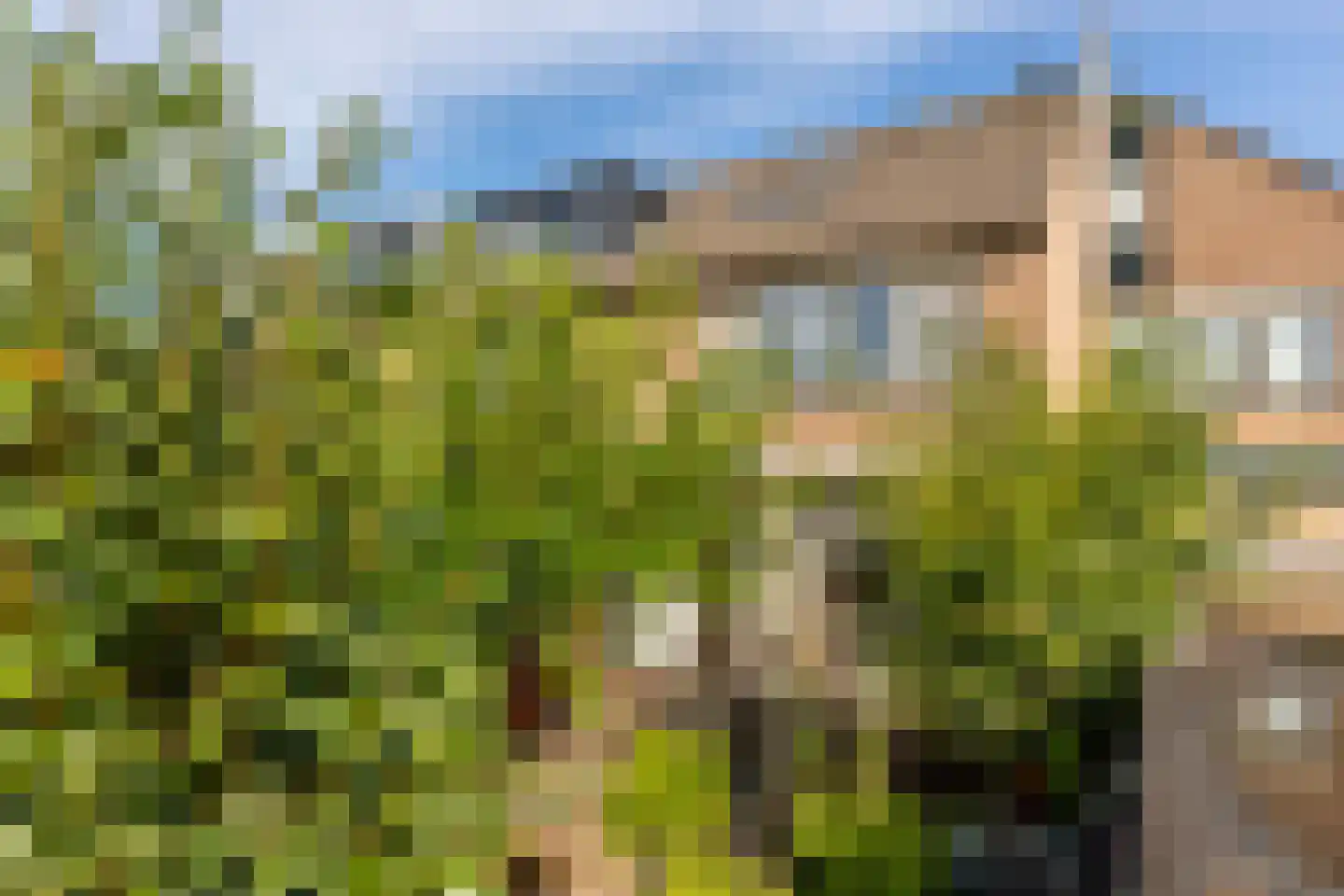 Bernhardplaats 50 Hellevoetsluis thumbnail 26