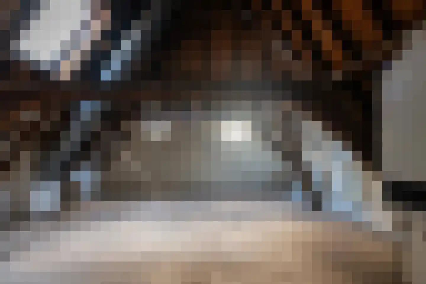 Bernhardsteeg 2 A Zutphen thumbnail 18