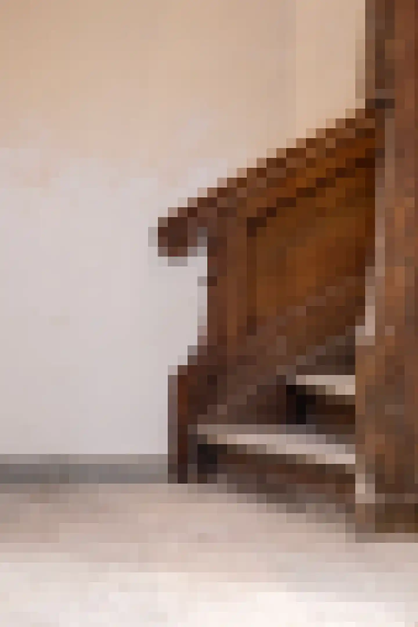 Bernhardsteeg 2 A Zutphen thumbnail 20