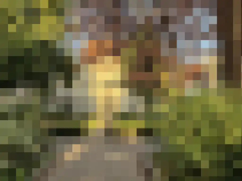 Bernhardsteeg 2 A Zutphen thumbnail 28