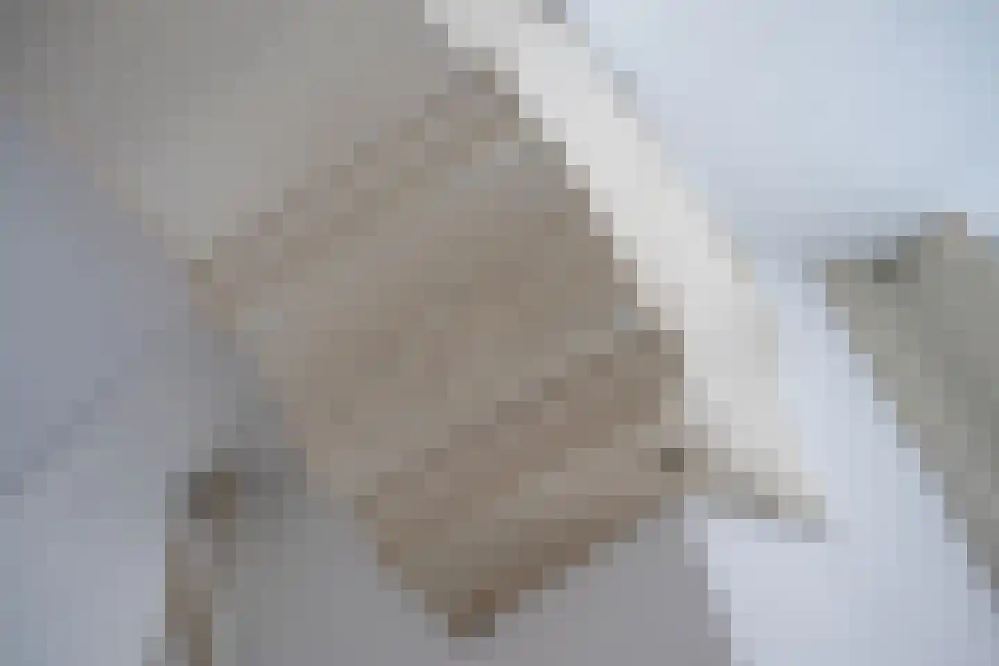 Bernhardsteeg 2 Zutphen thumbnail 11
