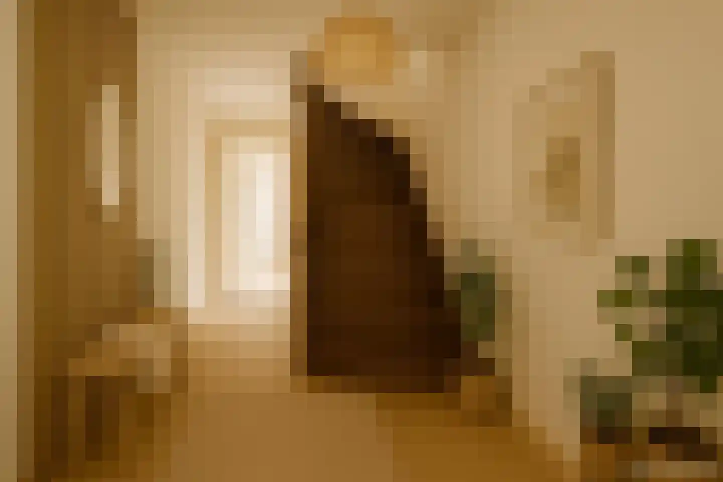 Bernhardsteeg 2 Zutphen thumbnail 15