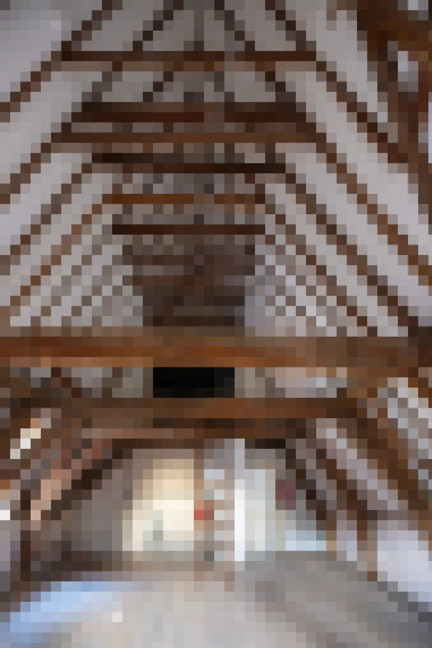 Bernhardsteeg 2 Zutphen thumbnail 24