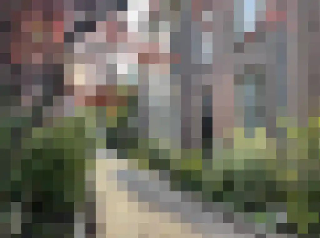 Bernhardsteeg 2 Zutphen thumbnail 33