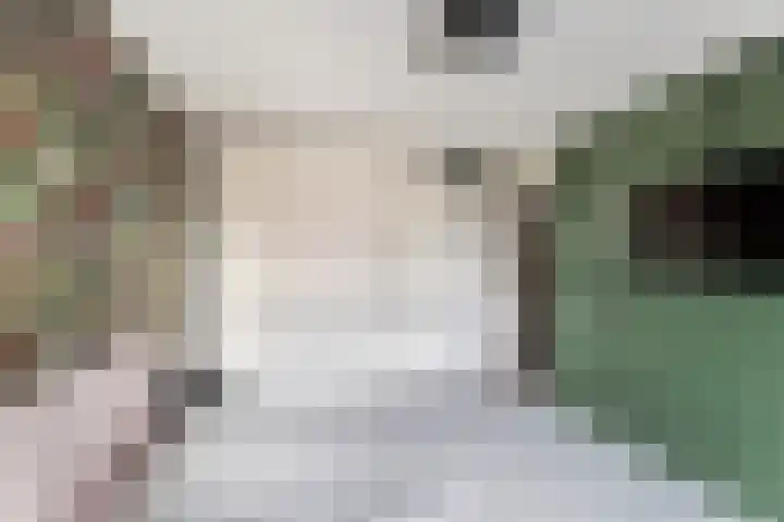 Bernhardstraat 1 B Heinenoord thumbnail 22