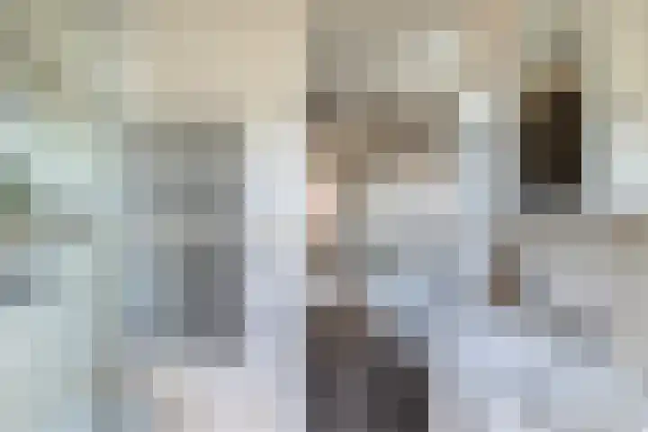 Bernhardstraat 1 B Heinenoord thumbnail 30