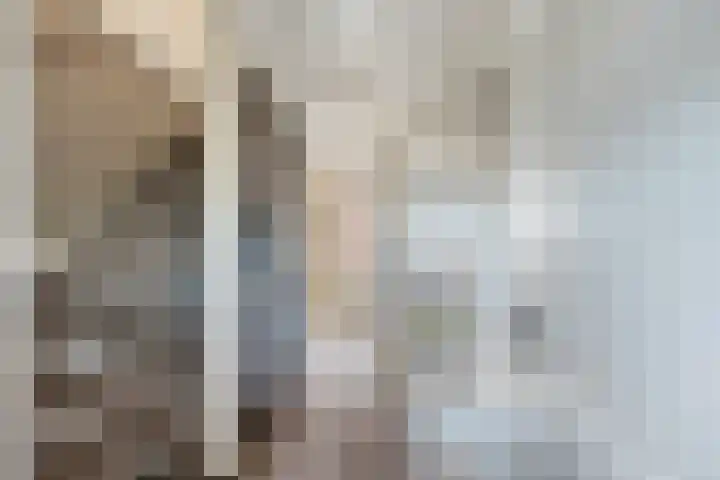 Bernhardstraat 1 B Heinenoord thumbnail 31