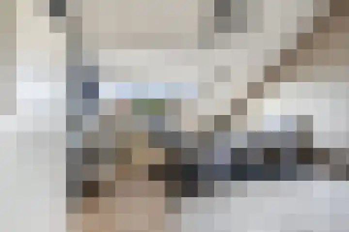 Bernhardstraat 1 B Heinenoord thumbnail 37