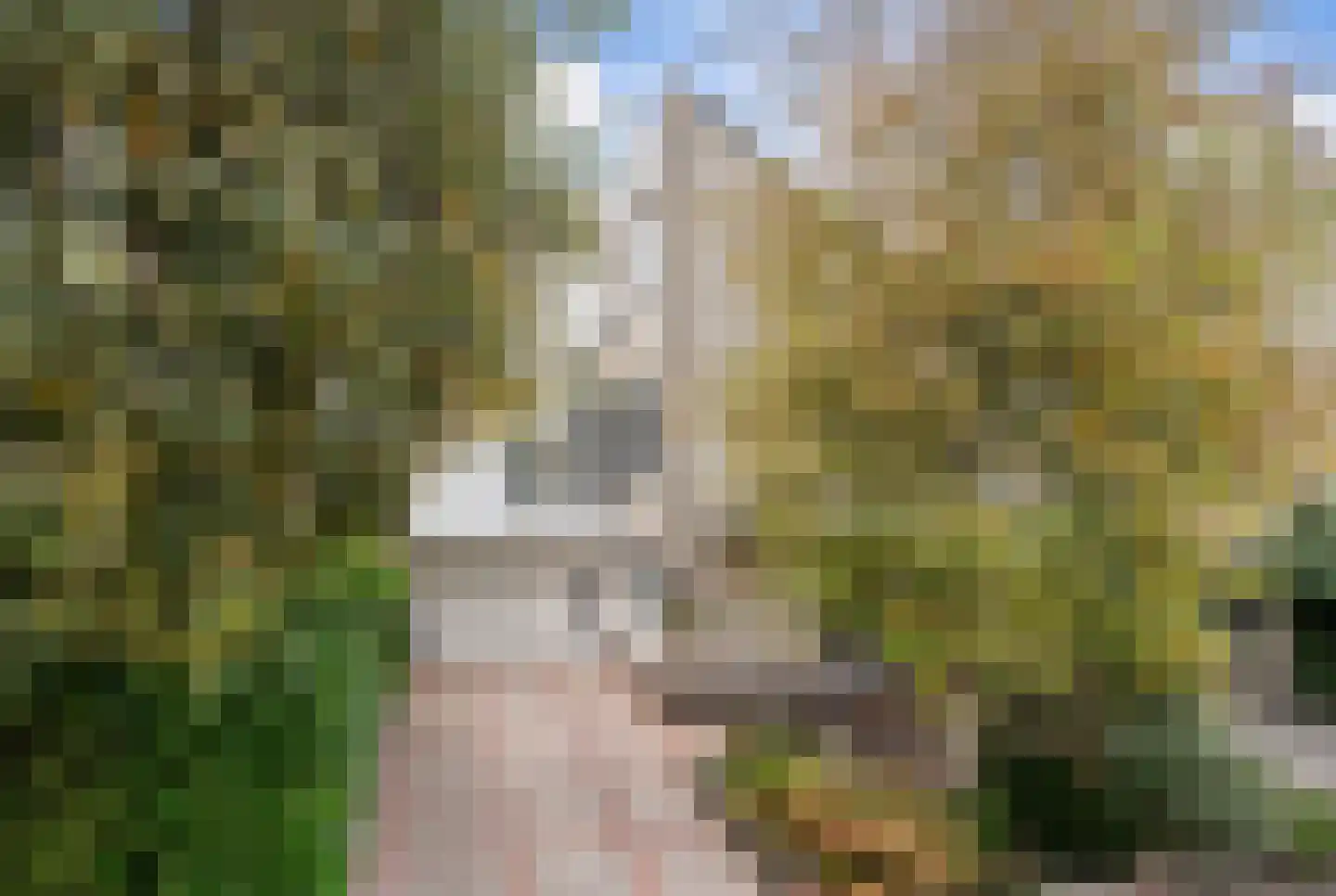 Bernhardstraat 1 Pijnacker thumbnail 10