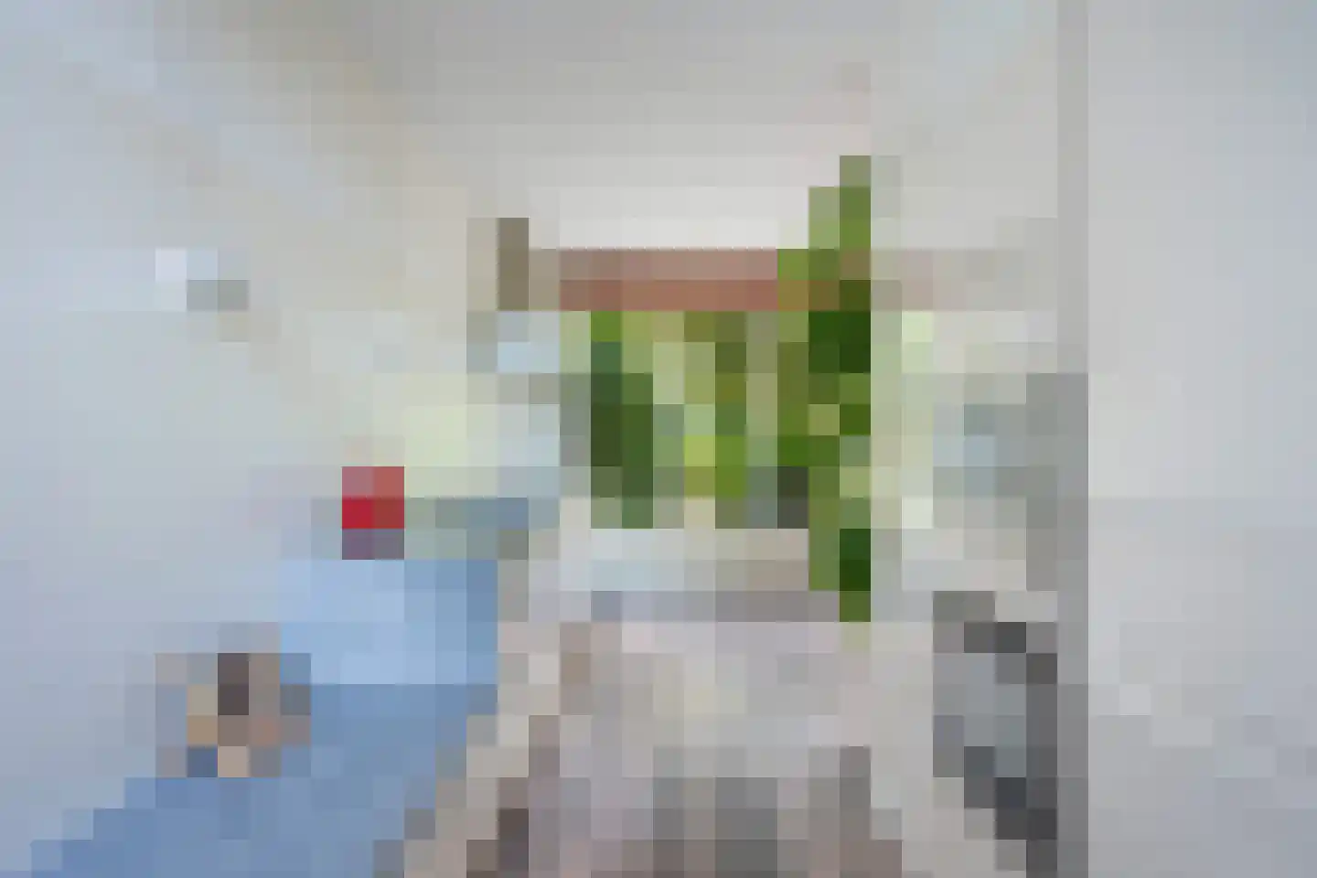 Bernhardstraat 1 Pijnacker thumbnail 22