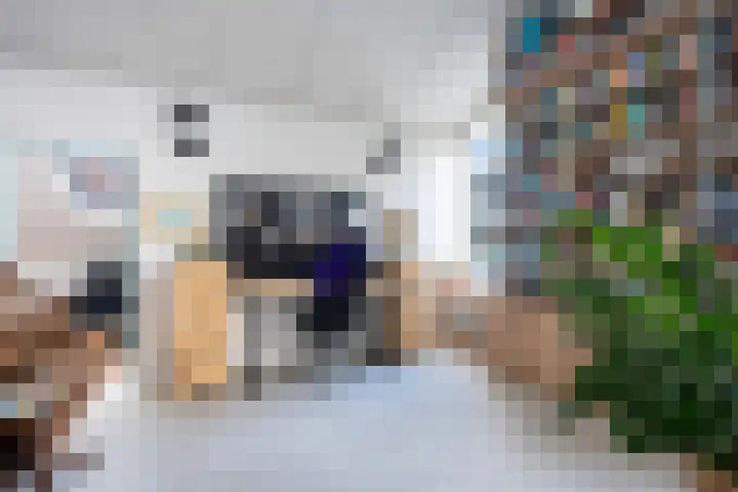 Bernhardstraat 1 Pijnacker thumbnail 26
