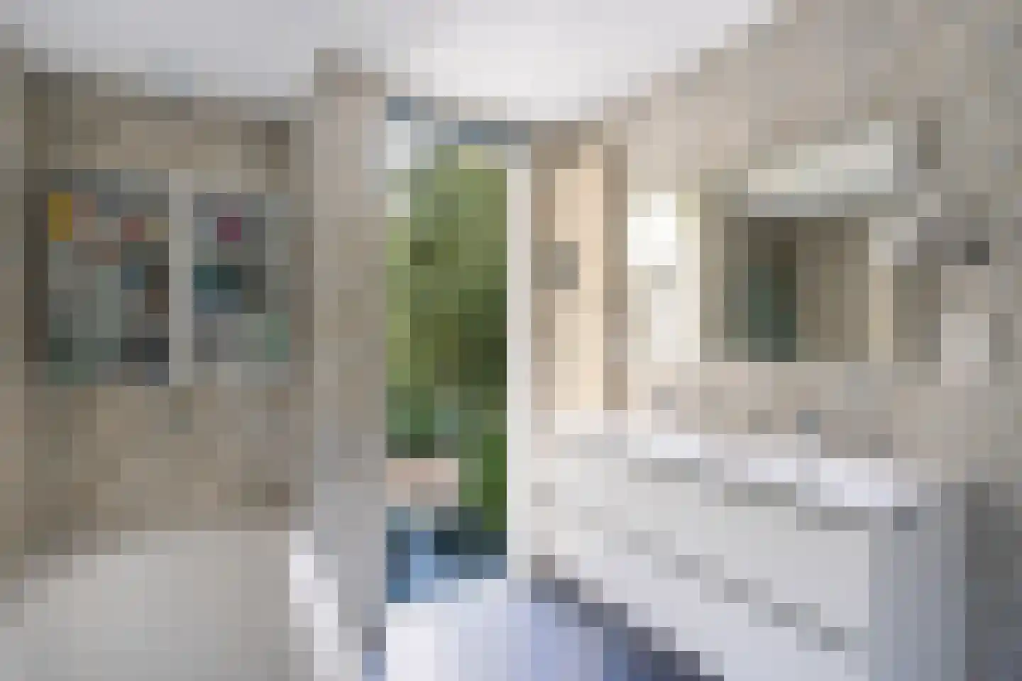 Bernhardstraat 1 Pijnacker thumbnail 34