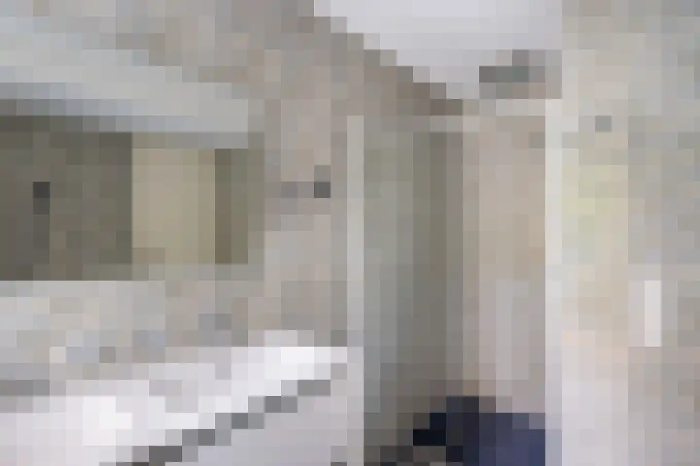 Bernhardstraat 1 Pijnacker thumbnail 35
