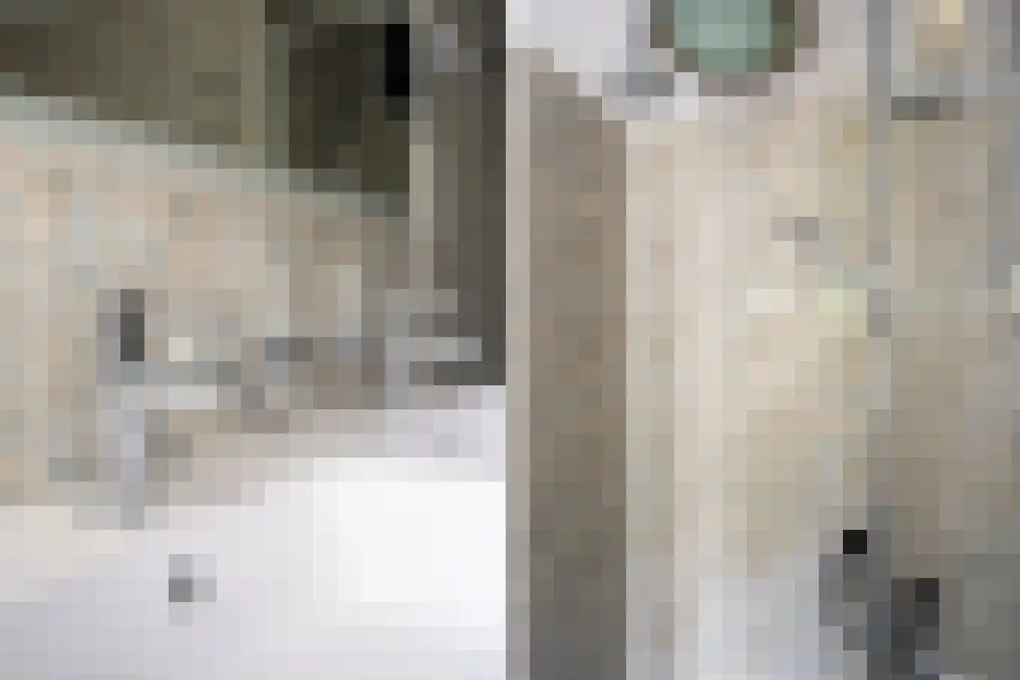 Bernhardstraat 1 Pijnacker thumbnail 36