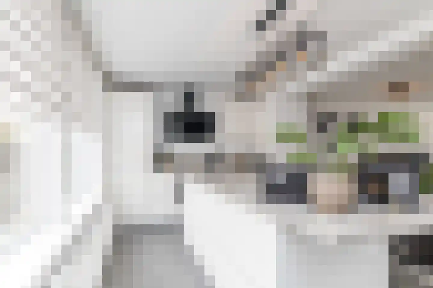 Bernhardstraat 1 Puth thumbnail 18