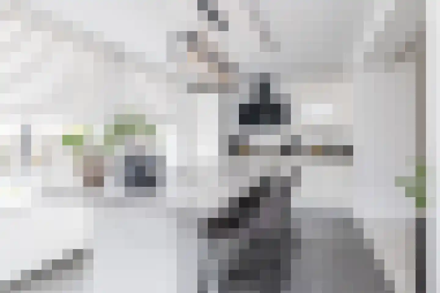 Bernhardstraat 1 Puth thumbnail 19