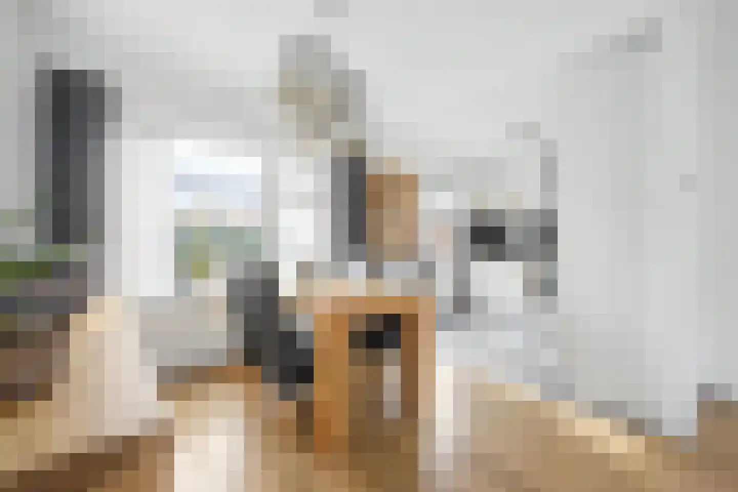 Bernhardstraat 1 Vogelwaarde thumbnail 10