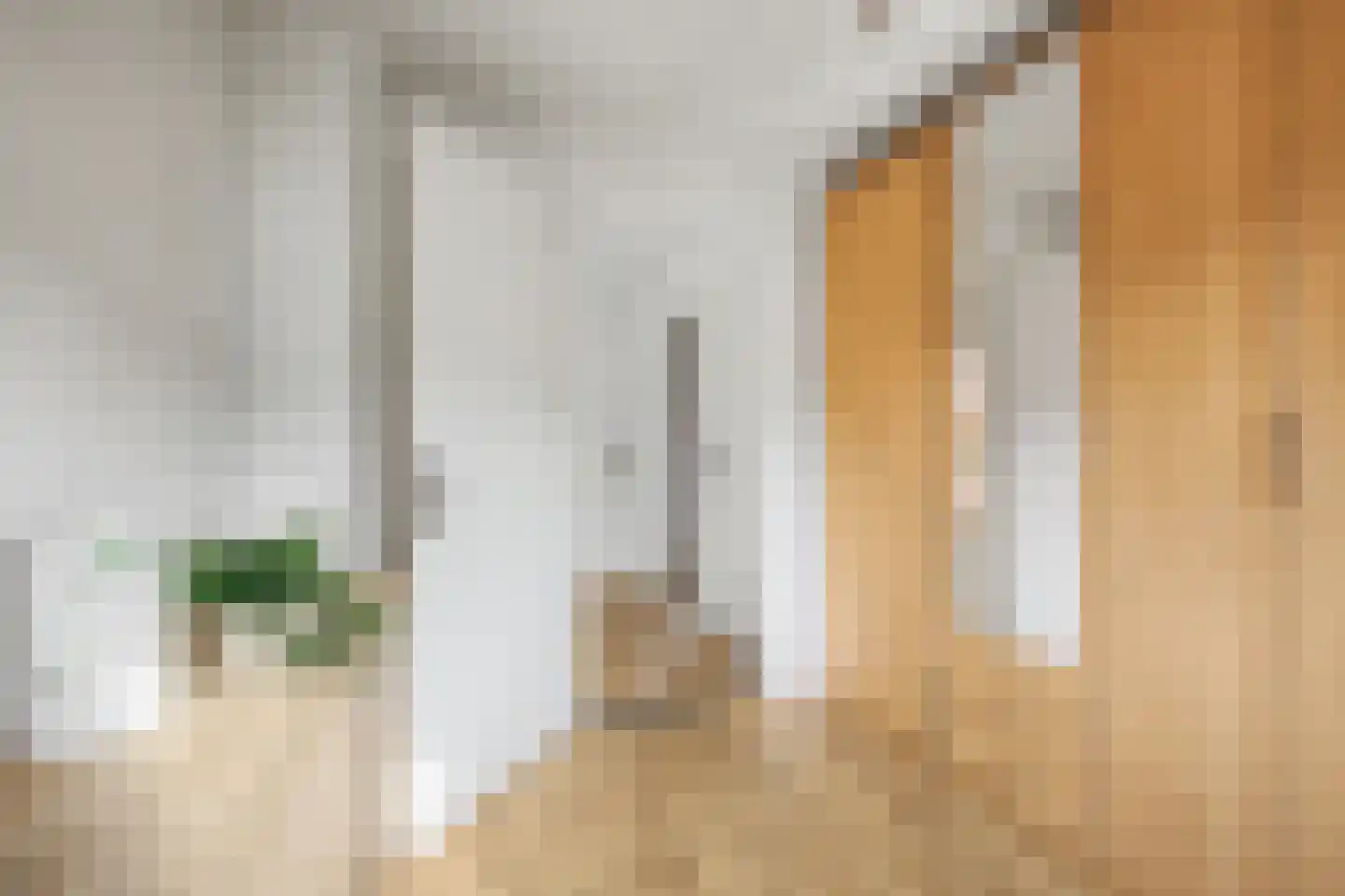 Bernhardstraat 1 Vogelwaarde thumbnail 21