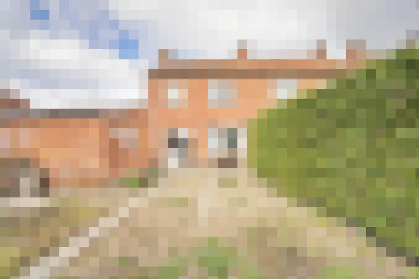 Bernhardstraat 1 Vogelwaarde thumbnail 27
