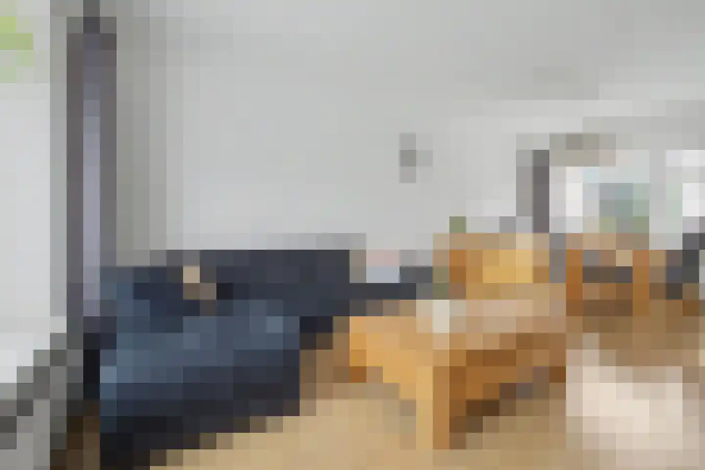 Bernhardstraat 1 Vogelwaarde thumbnail 7