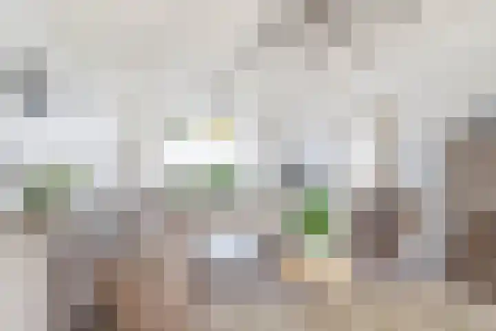 Bernhardstraat 10 Beek thumbnail 14